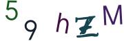 圖片的 CAPTCHA