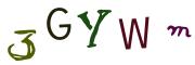 圖片的 CAPTCHA