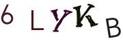 圖片的 CAPTCHA