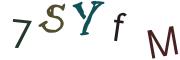 圖片的 CAPTCHA