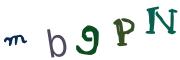 圖片的 CAPTCHA
