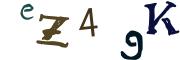 圖片的 CAPTCHA