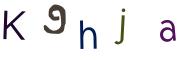 圖片的 CAPTCHA