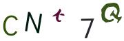 圖片的 CAPTCHA