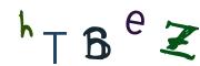 圖片的 CAPTCHA