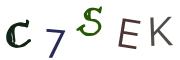 圖片的 CAPTCHA