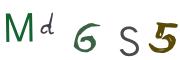 圖片的 CAPTCHA