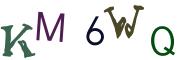 圖片的 CAPTCHA