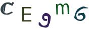 圖片的 CAPTCHA