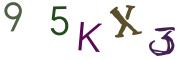 圖片的 CAPTCHA