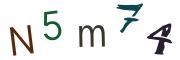 圖片的 CAPTCHA