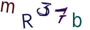 圖片的 CAPTCHA