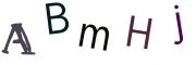 圖片的 CAPTCHA
