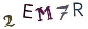圖片的 CAPTCHA