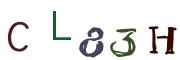 圖片的 CAPTCHA