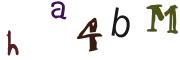 圖片的 CAPTCHA