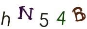 圖片的 CAPTCHA