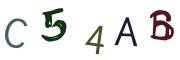 圖片的 CAPTCHA