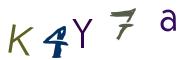 圖片的 CAPTCHA