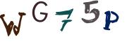 圖片的 CAPTCHA