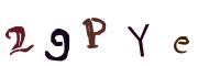 圖片的 CAPTCHA