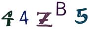圖片的 CAPTCHA
