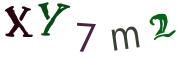 圖片的 CAPTCHA