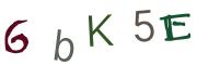 圖片的 CAPTCHA