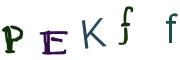 圖片的 CAPTCHA