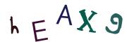 圖片的 CAPTCHA