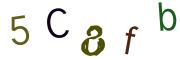 圖片的 CAPTCHA
