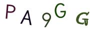 圖片的 CAPTCHA