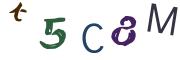 圖片的 CAPTCHA