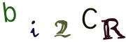 圖片的 CAPTCHA