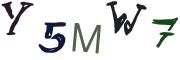 圖片的 CAPTCHA