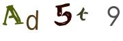 圖片的 CAPTCHA
