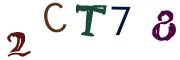 圖片的 CAPTCHA