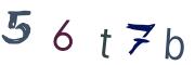 圖片的 CAPTCHA
