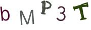 圖片的 CAPTCHA