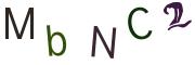 圖片的 CAPTCHA