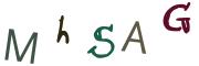 圖片的 CAPTCHA