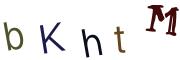圖片的 CAPTCHA