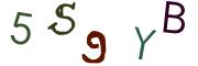 圖片的 CAPTCHA