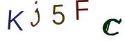 圖片的 CAPTCHA