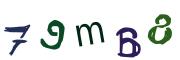 圖片的 CAPTCHA