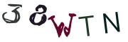 圖片的 CAPTCHA