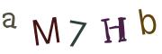 圖片的 CAPTCHA