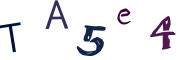 圖片的 CAPTCHA