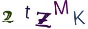 圖片的 CAPTCHA