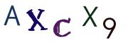 圖片的 CAPTCHA